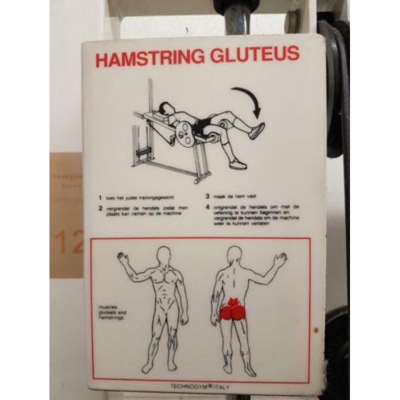Technogym Hamstring gluteus