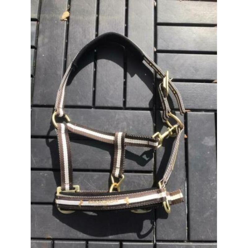 Eskadron halster+touw maat pony
