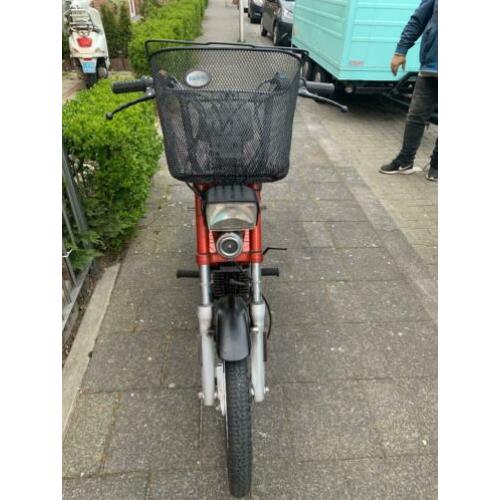 Brommer