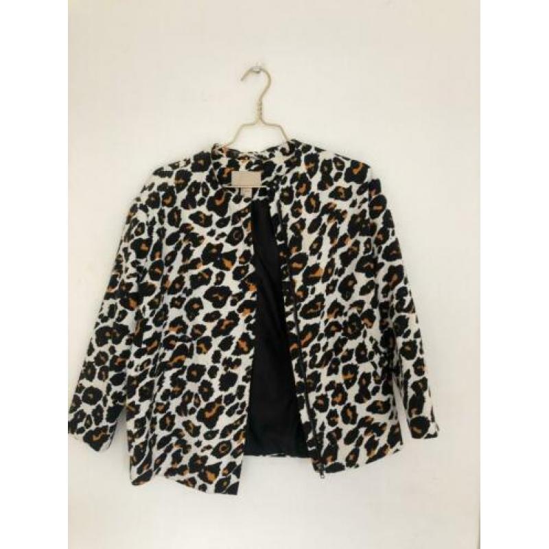 Jasje /bomber jack panter print H&m