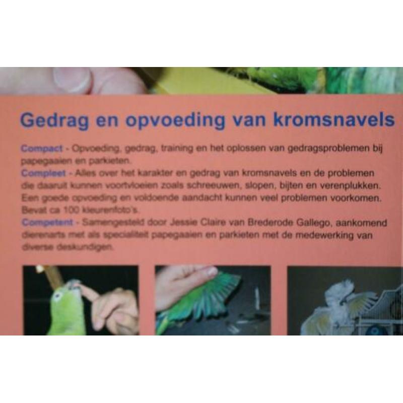gedrag en opvoeding van kromsnavels