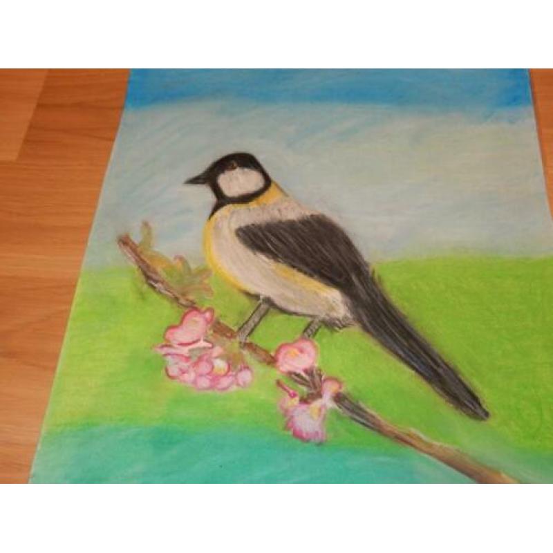 Kunst Tekening “Lentevogel” MEdO. Softpastel, te koop.