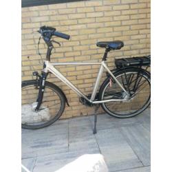 Stella Livorno champagne 28 inch L