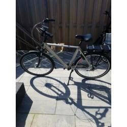 Stella Livorno champagne 28 inch L