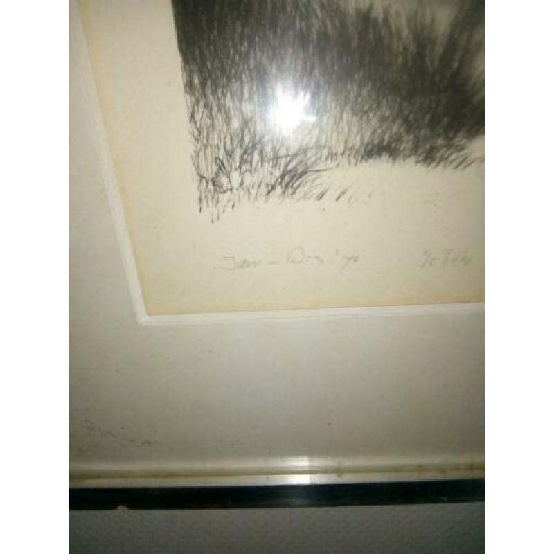 Unieke Amerika en Nederland op tekening zie foto