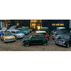 schakelaars voor in je classic mini cooper