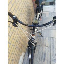 Stella Livorno champagne 28 inch L