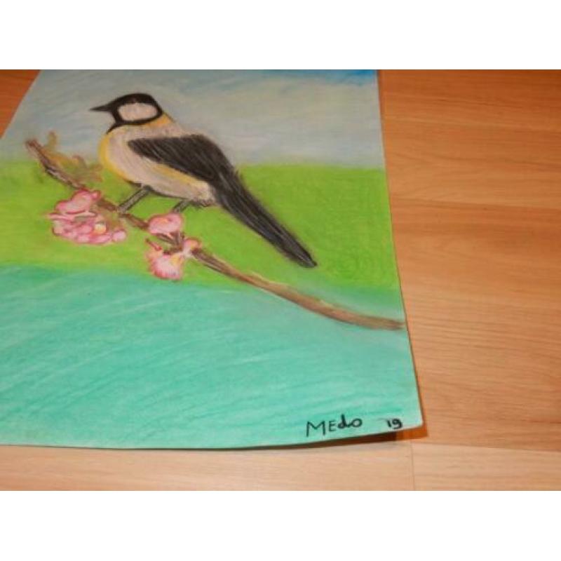 Kunst Tekening “Lentevogel” MEdO. Softpastel, te koop.