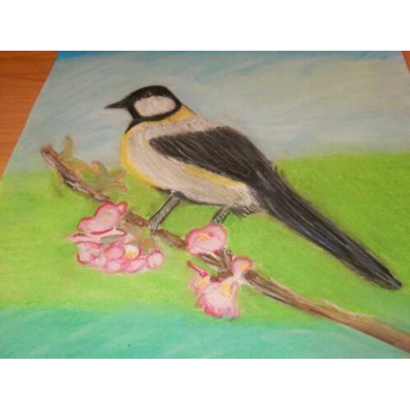 Kunst Tekening “Lentevogel” MEdO. Softpastel, te koop.