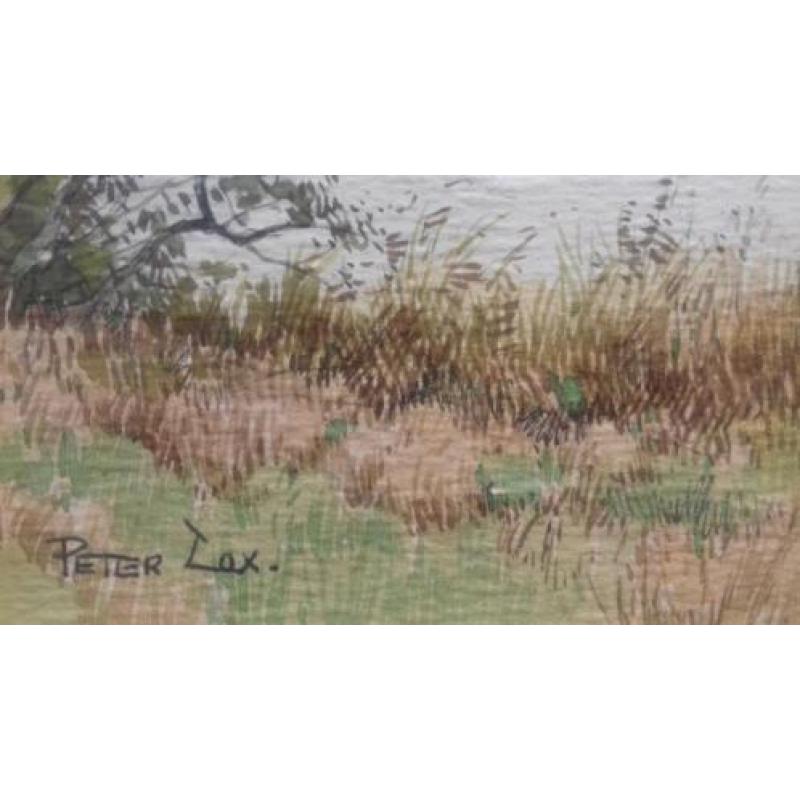 Cox P. Peter landschap schilderij aquarel duinen ven plas