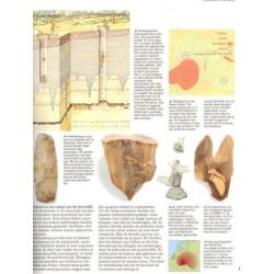Verleden Land - Archeologische opgravingen in Nederland