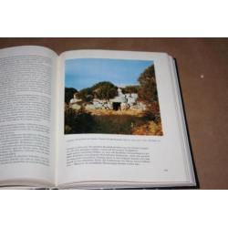 Boek over prehistorische culturen rond de Middelandse Zee !!