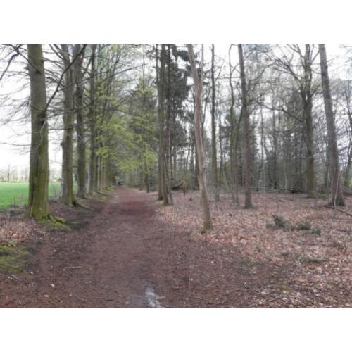 wandelmaatje / wandelvriend(in) / wandelgezelschap