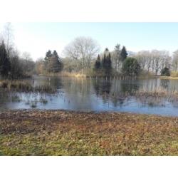 wandelmaatje / wandelvriend(in) / wandelgezelschap