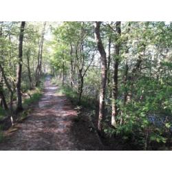 wandelmaatje / wandelvriend(in) / wandelgezelschap