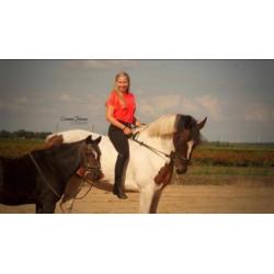 Lieve 5 jarige ruin & 17 jarige b pony, merrie