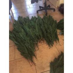 Grote kerstboom 2.60 hoog