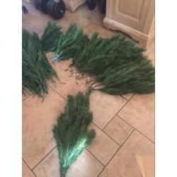 Grote kerstboom 2.60 hoog