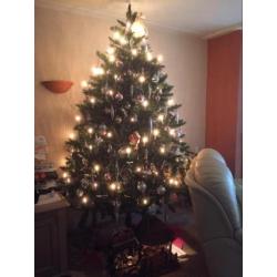 Grote kerstboom 2.60 hoog