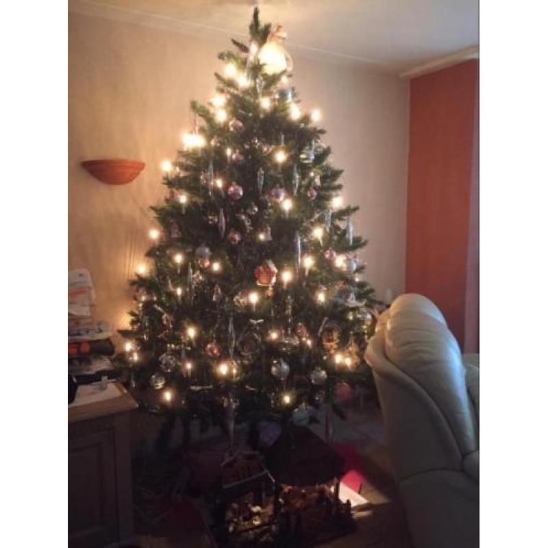 Grote kerstboom 2.60 hoog