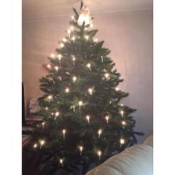 Grote kerstboom 2.60 hoog
