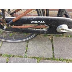 Popal Bakfiets te koop