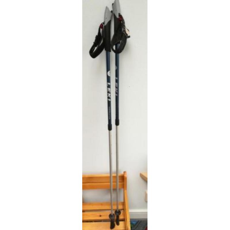 Leki instructor Nordic walking stokken (carbon)